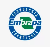 SEMENTES DE SORGO SANTO ISIDORO SEMENTES